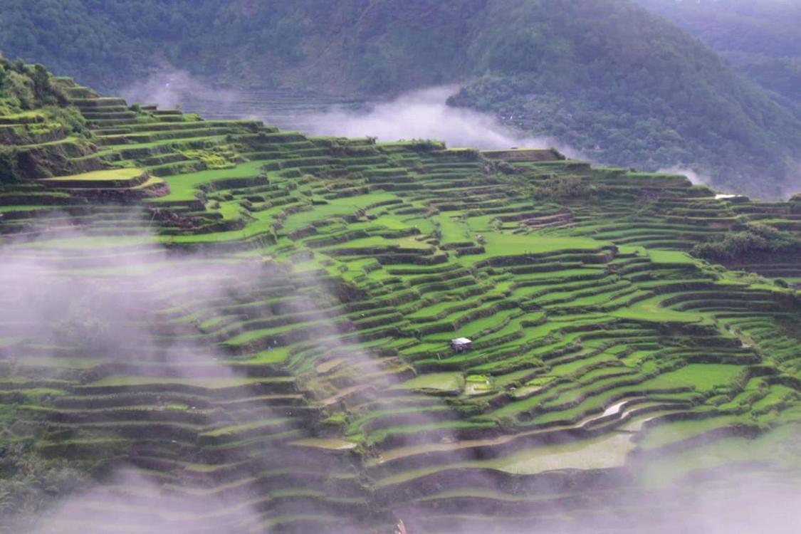 Vilma'S Homestay Bontoc  Kültér fotó